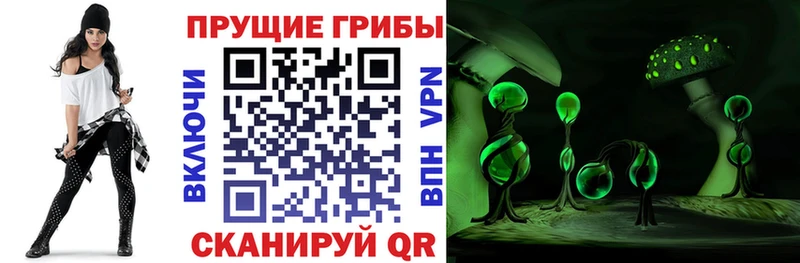 Галлюциногенные грибы мицелий  kraken как зайти  Заринск 